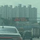 은기국수 | 2025.10.05-12 | 연휴 동안 먹기만 했는데 피곤한 이유는