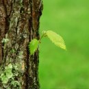 정진산업 이미지