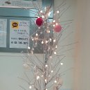 경희큰나무의원 이미지