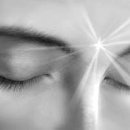 숲을향한시선 이미지