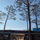 황학산 | 여주 가볼만한곳 여주 황학산 수목원 난대식물원 다녀온 후기