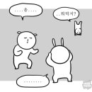 카페파크