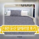 자미온，알레르망