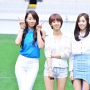 베스티