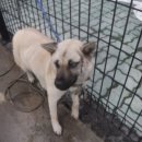 중산간동로 이미지