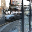 백돈구이 | 광주봉선동 맛집 돈구이 불났네 고깃집