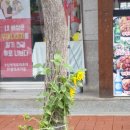 369노래연습장 이미지