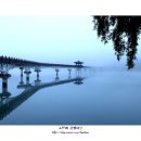 하얀물안개 이미지