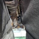 뉴파크노래방 | [D+155] 내한 못 가서 일본공연 보러감 | 린킨파크 일본 공연