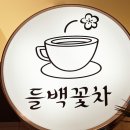 카페들백꽃차 | [안산 송호 카페] 꽃차가 맛있었던 카페들백꽃차에서 꽃차 한잔어떠신가요