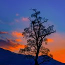 산노을