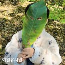 서우아파트2단지31610) | 김포 고촌 숲 유치원 예일유치원 7세 재학중 후기