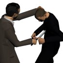 필현 Daum카페