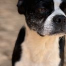 천사의집 이미지