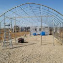 수하우스 | 비닐하우스시공 믿고 맡길 수 있는 전문적인 업체 후기