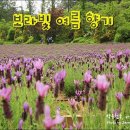 허브빌리지(Herb village) 이미지