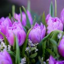 ACE컨설팅&행정사사무소 이미지