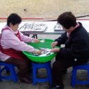 대중포목
