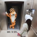 레이디 카 센타 | 250721 스우파3 스월파 월우파 Part1 파이널 사전녹화 방청 후기 - 준비물 및 꿀팁 참고