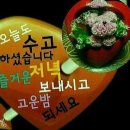 행복한아침 Daum카페