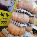 이가야 이미지