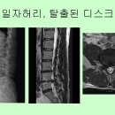 다온한방병원 이미지