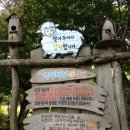 43번가 게스트하우스 이미지