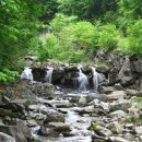 경춘목장 이미지