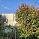 별 헤는 밤 200 이미지