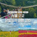 고석정가든 | 서울근교 당일치기 여행 갈만한 곳, 고석정 꽃축제부터 한탄강 가든페스타