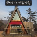 세모 하우스 | 화순여행 백아산자연휴양림 세모집. 트리하우스2동 후기
