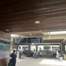 종로카&더좋은셀프존 | 하와이 호놀룰루 신혼여행 후기_날씨, 호텔, 렌트카 총정리