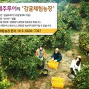 (주)엔제주 이미지