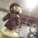 제주테디베어뮤지엄 이미지