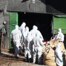 영주농장 이미지