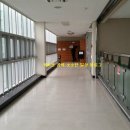 체육회관헬스클럽 이미지