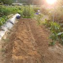 산울림농장 이미지