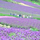 퍼플 - 세종특별자치시 새내로 125 | 퍼플