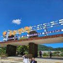 대장경테마파크관광안내소 | 테마공원, &#34;합천대장경테마파크&#34;(합천가볼만한곳)