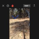 대조-010 이미지