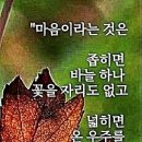 진정한 강자 이미지