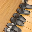 스테이 더 딜라잇 이미지