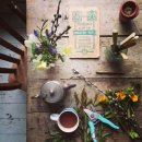 화훼장식 기능사(꽃꽂이) 이미지