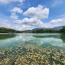 용지정류소 | 가로수 나무들이 멋지고 공원이 많은 창원 [가고파갤러리, 용지호수공원, 장미공원]