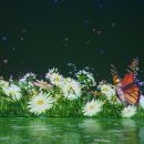 라파우자 이미지