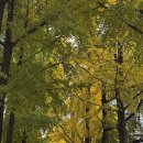 차병원 | 분당 차병원 신장 CT 후기 신장암 초기 의심 진단