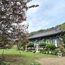 호미곶해수탕 이미지