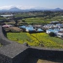 하도별방진 이미지