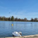 칸델라식당 | [엄마랑 유럽여행] #런던 4일차: 파리로 이동하는 날, 칸델라티룸, 유로스타, 에펠 블로메