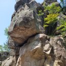 김종필농장 | 서산 용현리 마애여래삼존상, 김종필 목장, 백로떼